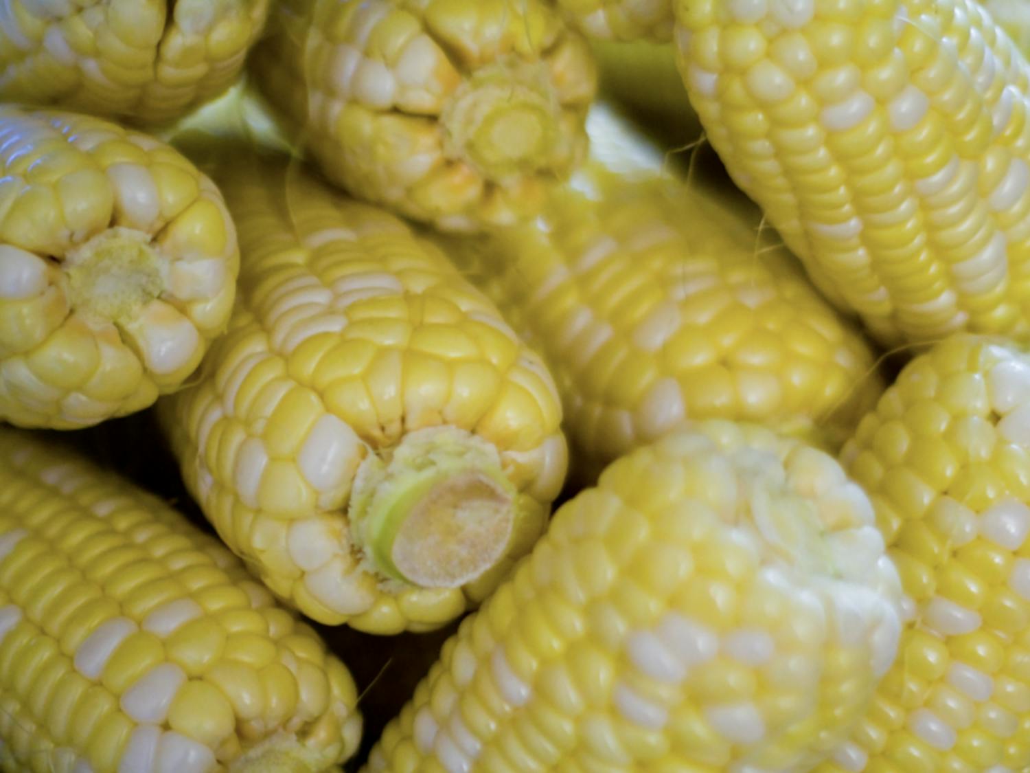 corn