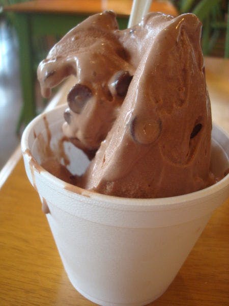 Chocoholic custard from SweetBerries, a local restaurant participating in Gainesville Restaurant Week