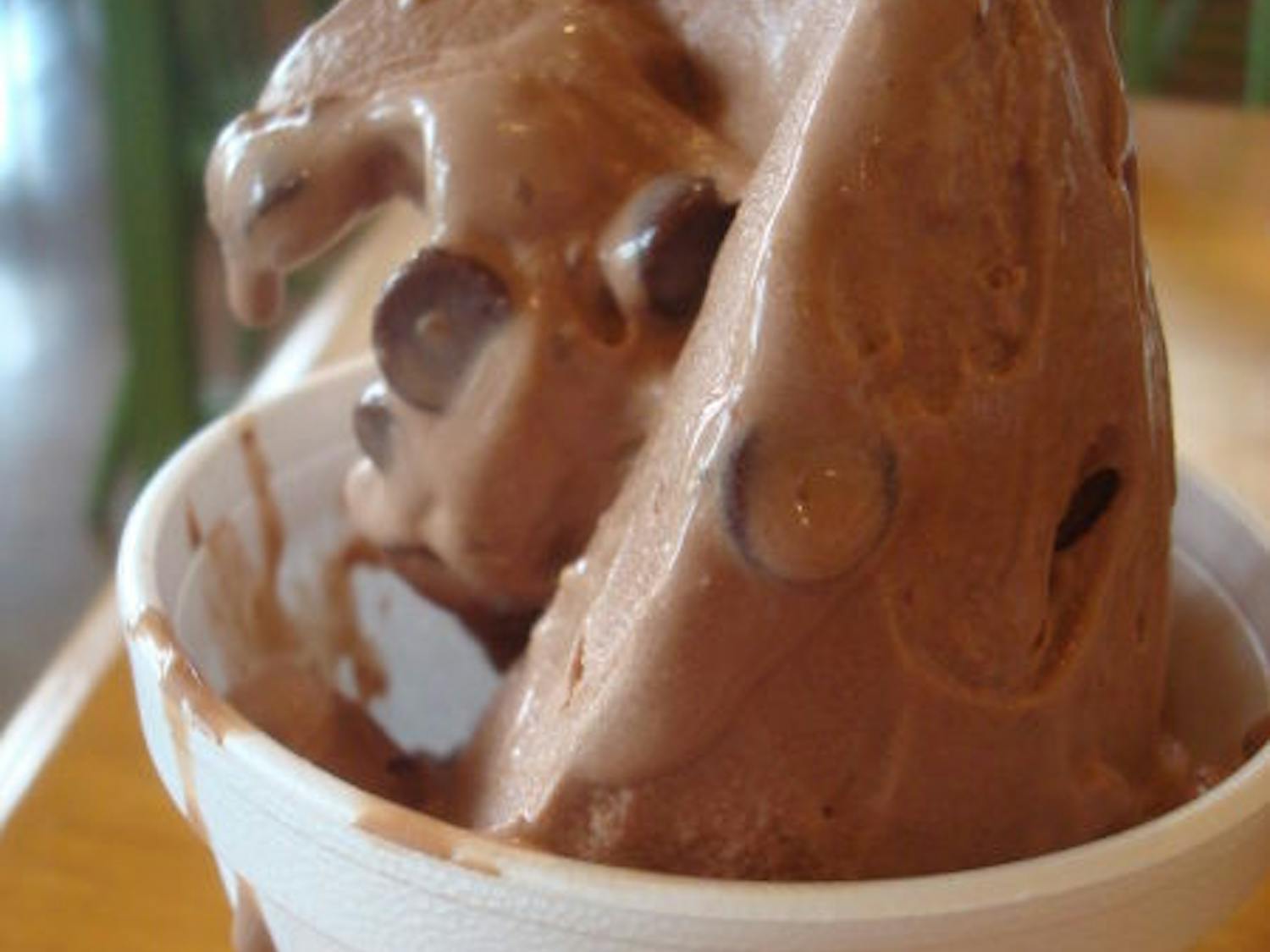 Chocoholic custard from SweetBerries, a local restaurant participating in Gainesville Restaurant Week