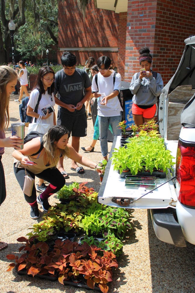 Students pick their coleus plants, donated by the Collegiate Plant Initiative, to take home on Wednesday.