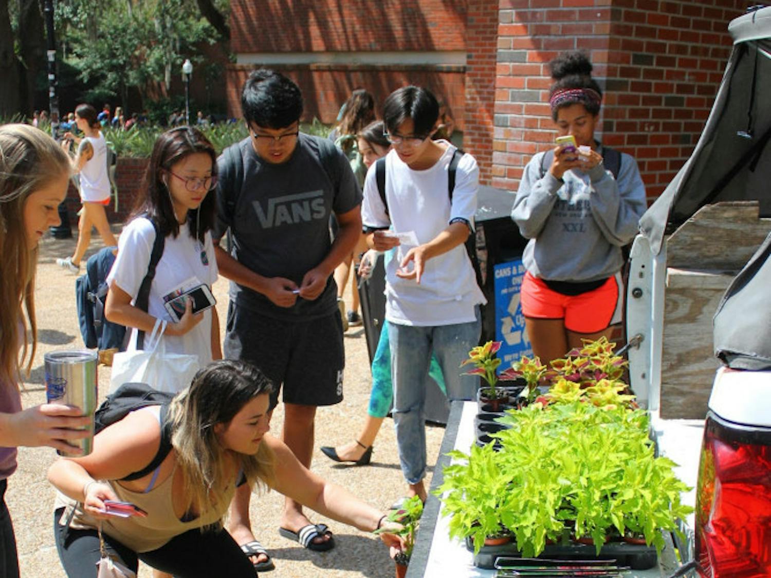 Students pick their coleus plants, donated by the Collegiate Plant Initiative, to take home on Wednesday.