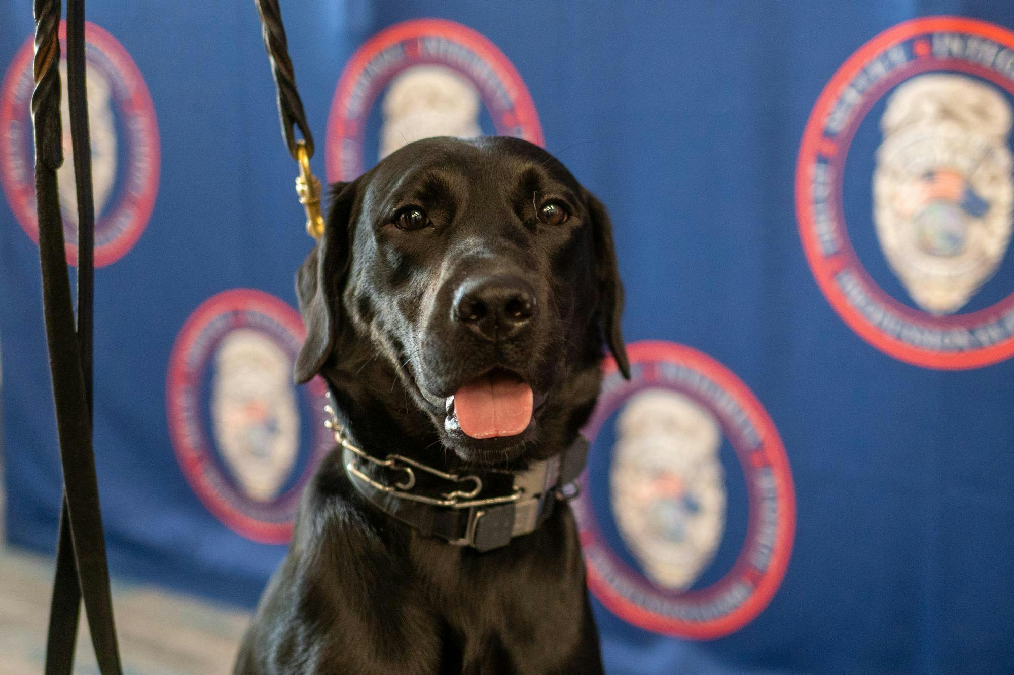 UFPD dog feature.jpg