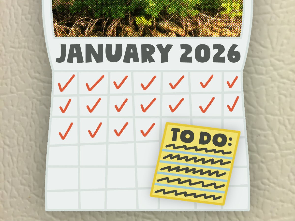 The new year can be a great time to end bad habits and start new routines.