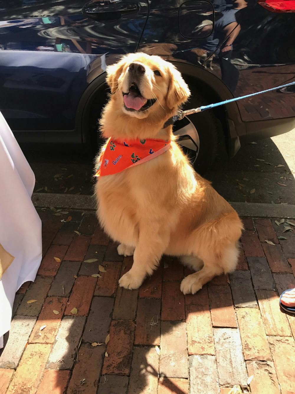 <p><span id="docs-internal-guid-594b86d2-b812-9d91-8e07-f38abc96edb4"><span>Katie Davis’ golden retriever, Oakley, poses after winning best trick at Sweet Paws Bakery’s 10th anniversary on Saturday. The event raised $125 for Gainesville Pet Rescue Inc. and Haile’s Angels Pet Rescue from a $5 fee collected from competition participants.</span></span></p>