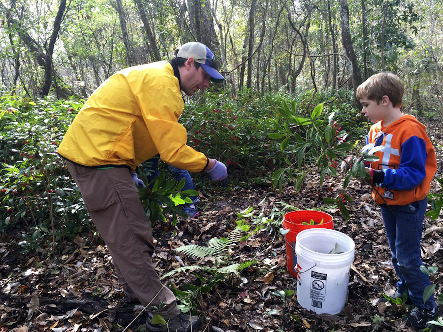 Jacob Tillmann, 38, removes coral ardisia, an invasive plant species, with his son Grant Tillmann, 6, from the Evergreen Cemetery during the Great Invader Raider Rally event Saturday morning. “Grant can look at a species and say, ‘Hey, that's a bad plant,’” Tillmann said. “And that's because of these events.”