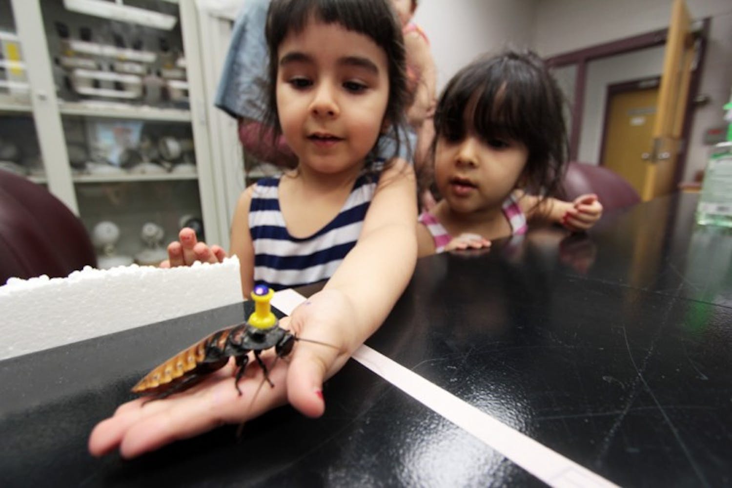 Reema Alnuaimat, 4, holds Noah, a Madagascar hissing cockroach, as her sister, Salma, 3, looks on. The cockroaches were pulling toy tractors at BugFest Open House, an event put on by the entomology and nematology department, on Wednesday evening.
