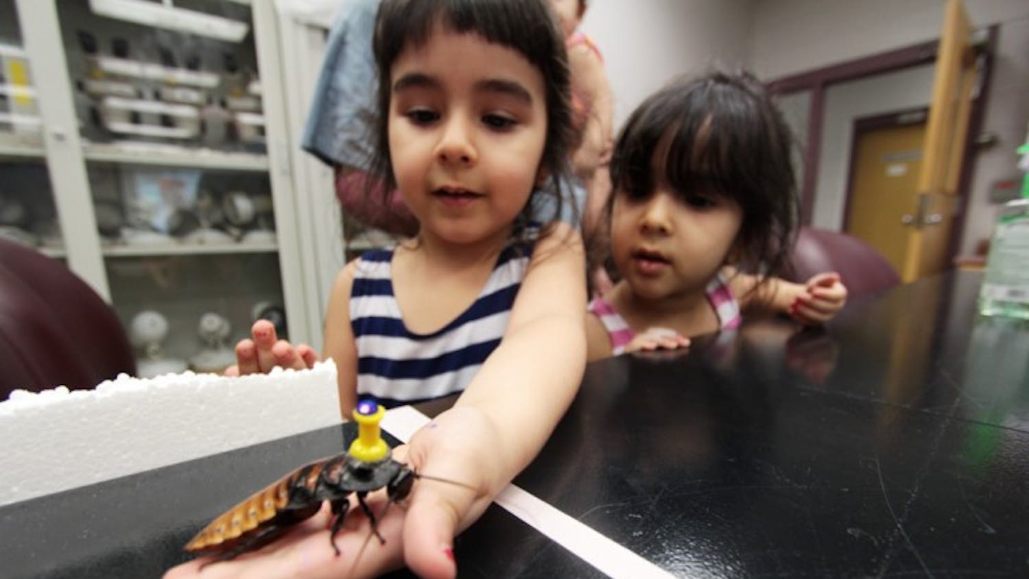 Reema Alnuaimat, 4, holds Noah, a Madagascar hissing cockroach, as her sister, Salma, 3, looks on. The cockroaches were pulling toy tractors at BugFest Open House, an event put on by the entomology and nematology department, on Wednesday evening.