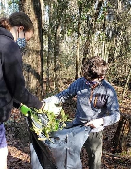 Boy Scout Troop 125 places invasive plants into a plastic trash bag for proper disposal. [Photo courtesy of Rich Bennett]