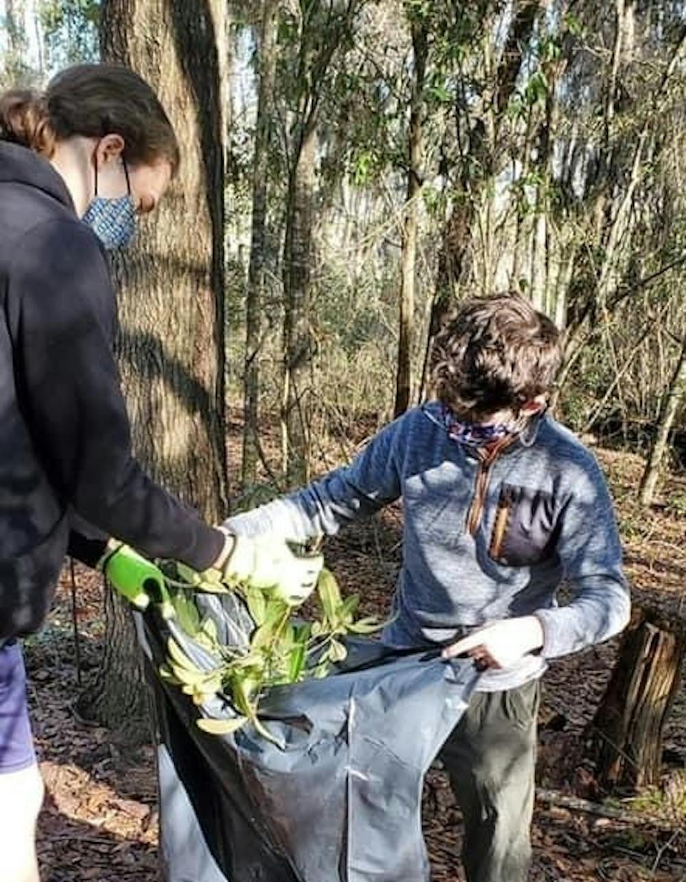 <p>Boy Scout Troop 125 places invasive plants into a plastic trash bag for proper disposal. [Photo courtesy of Rich Bennett]</p>