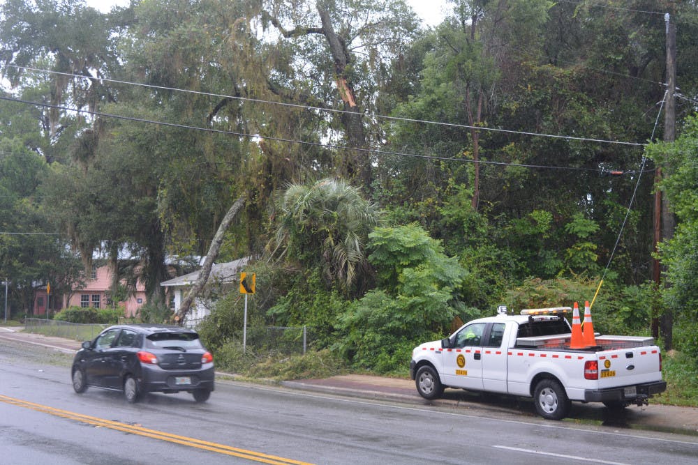 A tree fell near Northwest 26th Street and West University Ave. during Hurricane Matthew. Gusts up to 25 mph had been reported by noon Friday. 