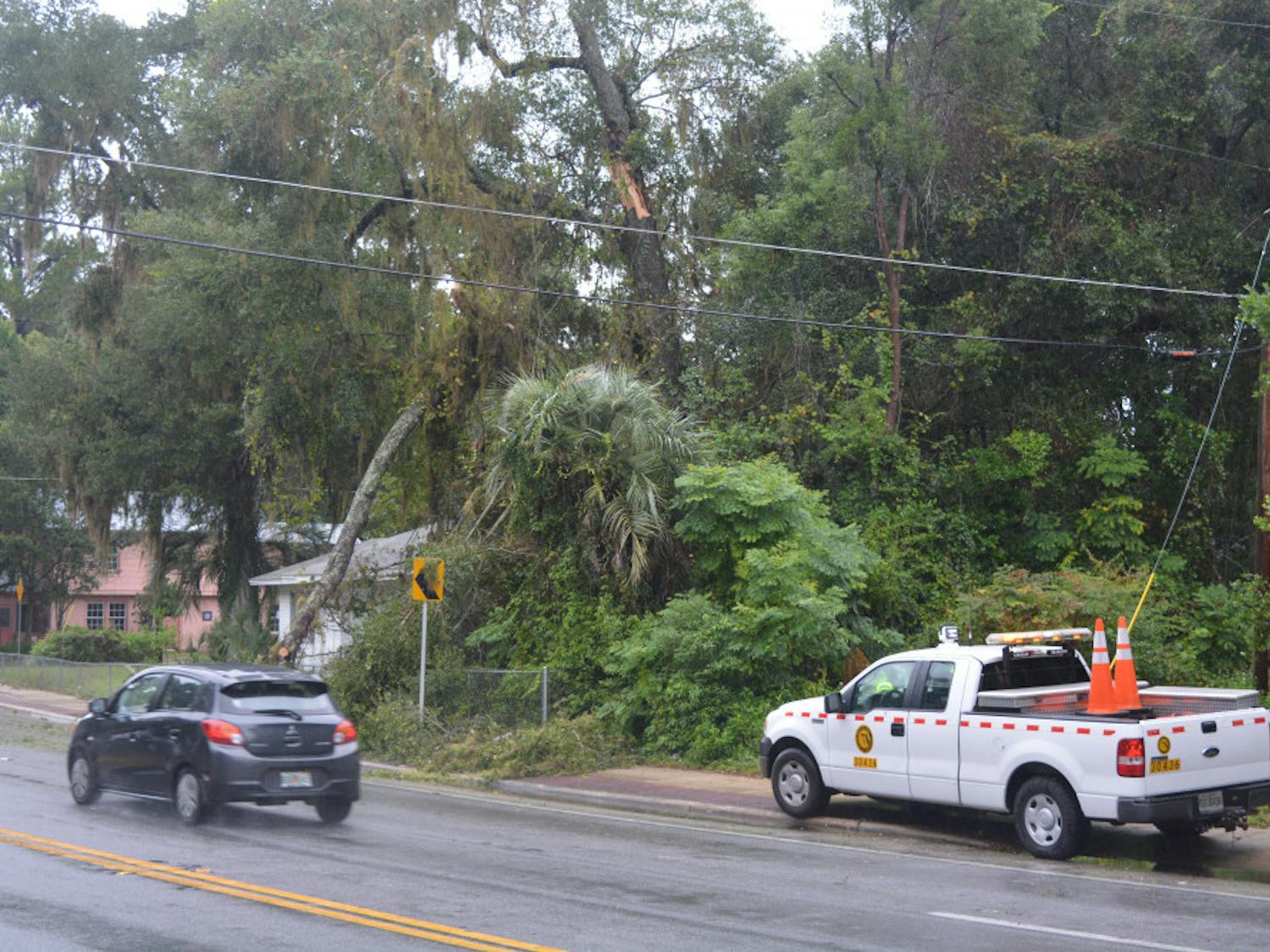 A tree fell near Northwest 26th Street and West University Ave. during Hurricane Matthew. Gusts up to 25 mph had been reported by noon Friday.