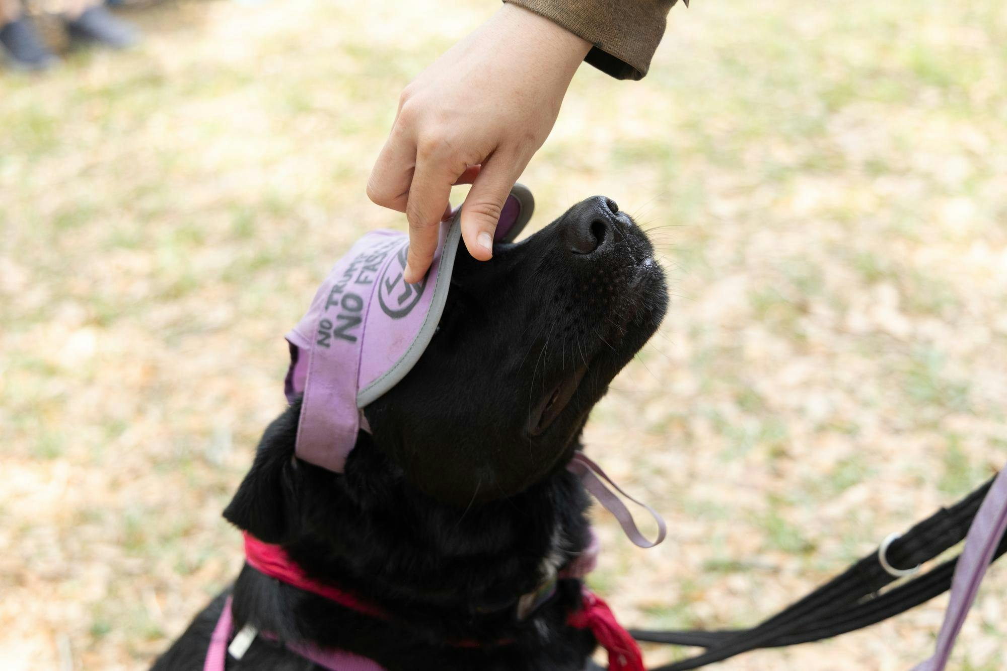 Ozzy Walters secures a hat on Myla’s head during the No Kings Protest at Cora P. Roberson Park, Saturday, March 28, 2026, in Gainesville, Fla.