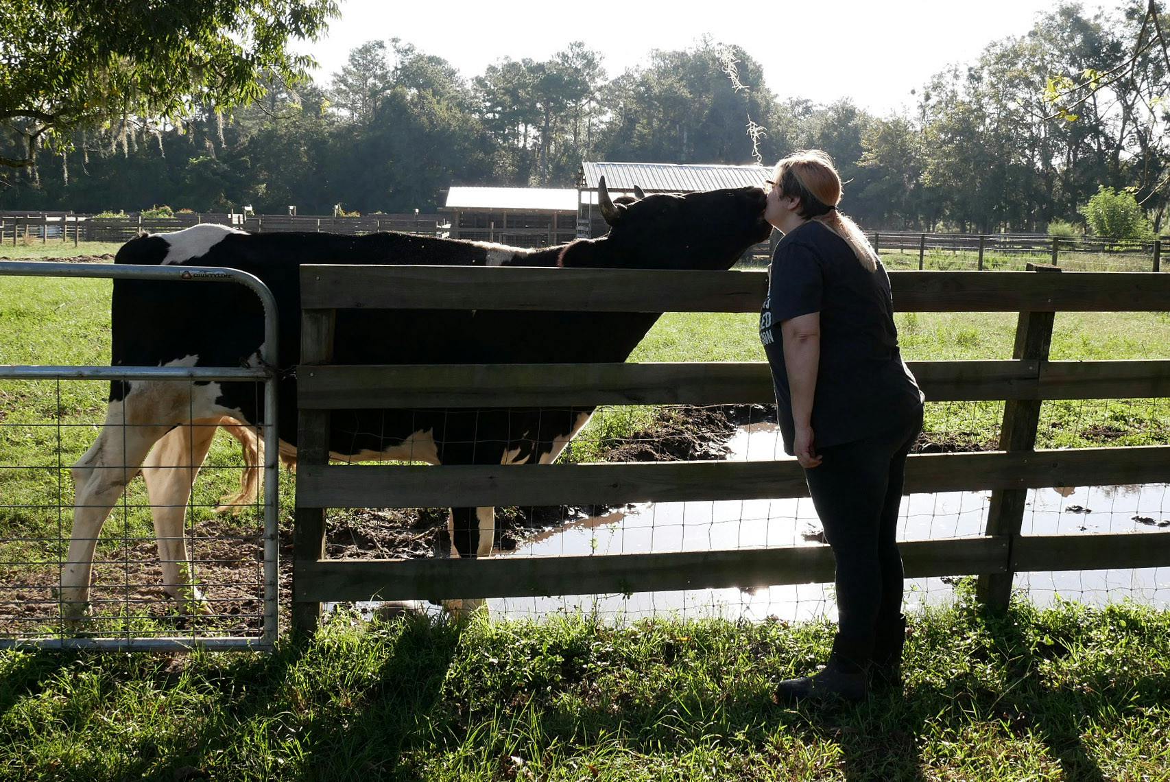 Lionel receives kisses from Office Manager/Board Secretary of Critter Creek Sheena Drost at Critter Creek on Wednesday, Sept. 20, 2023. 