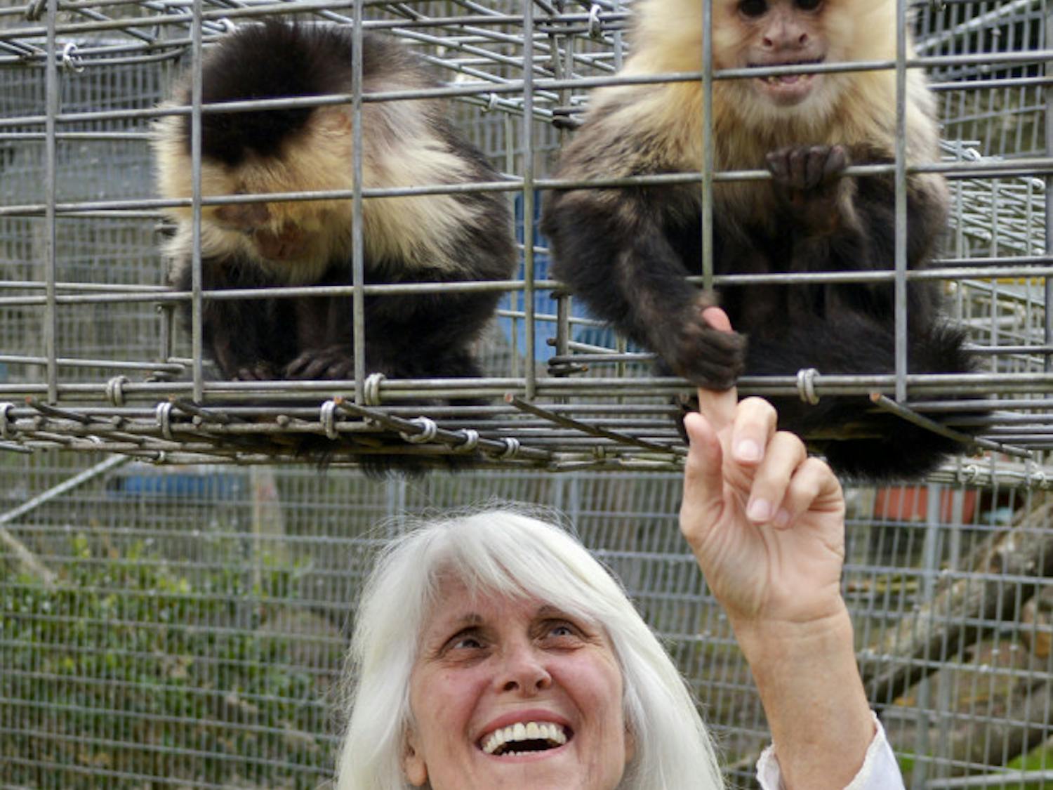 Samantha and Charlotte, a pair of white-faced capuchin monkey sisters, sit above their owner, 61-year-old Kari Bagnall, in the Jungle Friends Primate Sanctuary on Tuesday afternoon.