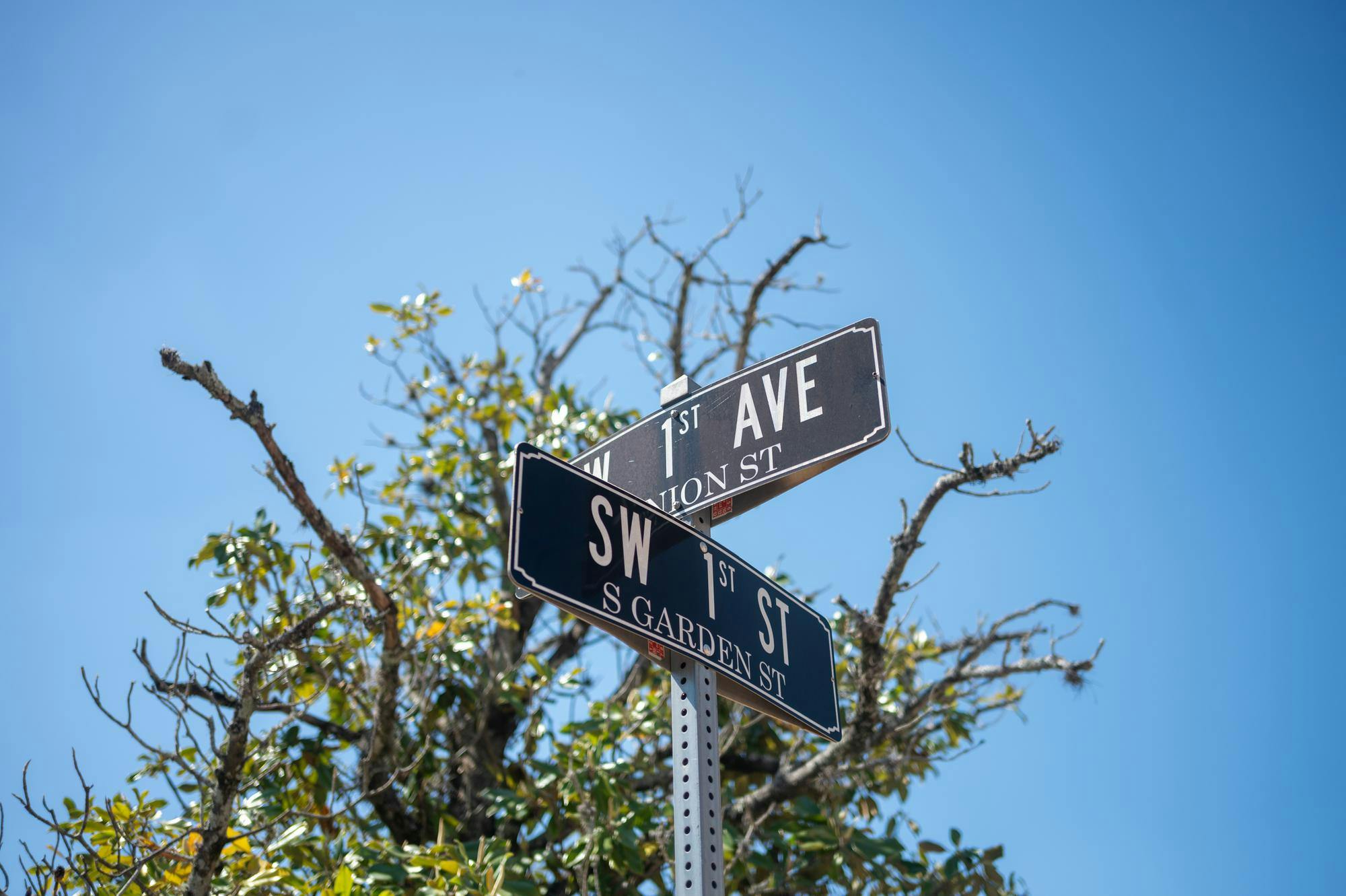 A street sign marks the intersection of SW 1st Street and SW 1st Avenue in Gainesville, Fla., Friday, April 17, 2026.
