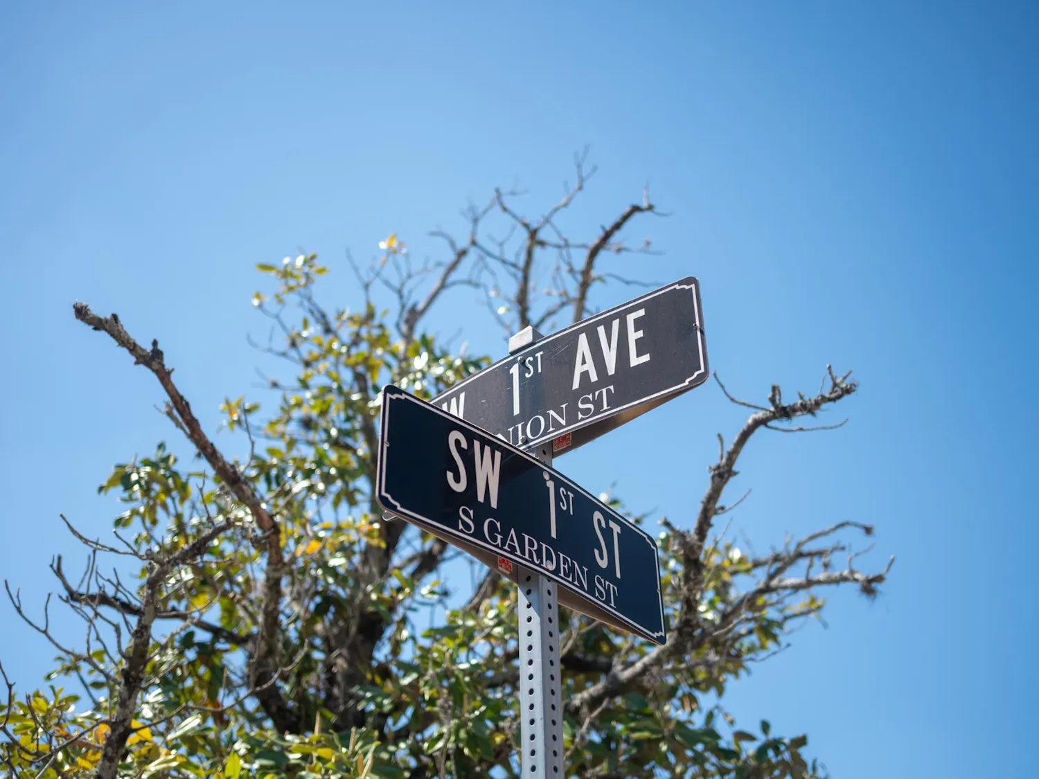 A street sign marks the intersection of SW 1st Street and SW 1st Avenue in Gainesville, Fla., Friday, April 17, 2026.