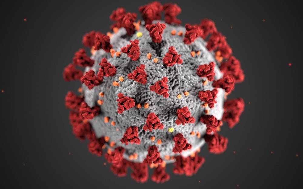 <p>Coronavirus Disease 2019 (COVID-19)</p>