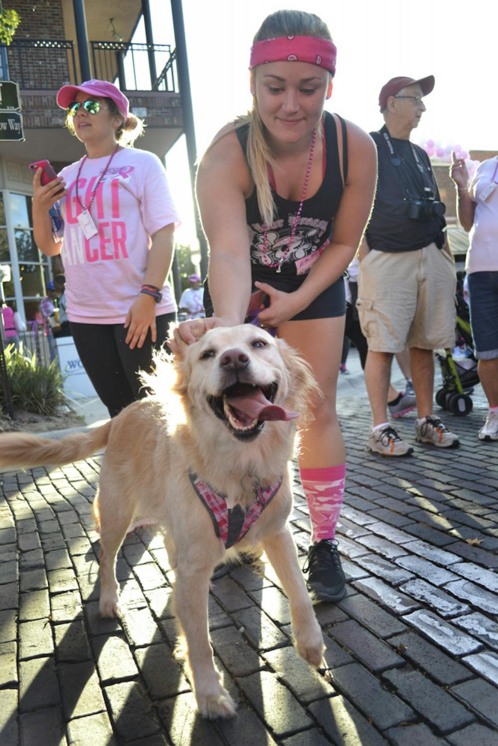 <p>Honey, a 6-year-old golden retriever lab mix, wags her tail as owner Kendall Nettles gets ready to walk the Making Strides Against Breast Cancer 5k on Oct. 24, 2015. The 22-year-old Santa Fe early childhood education senior said it was important to support those with breast cancer and those who had lost their lives.</p>