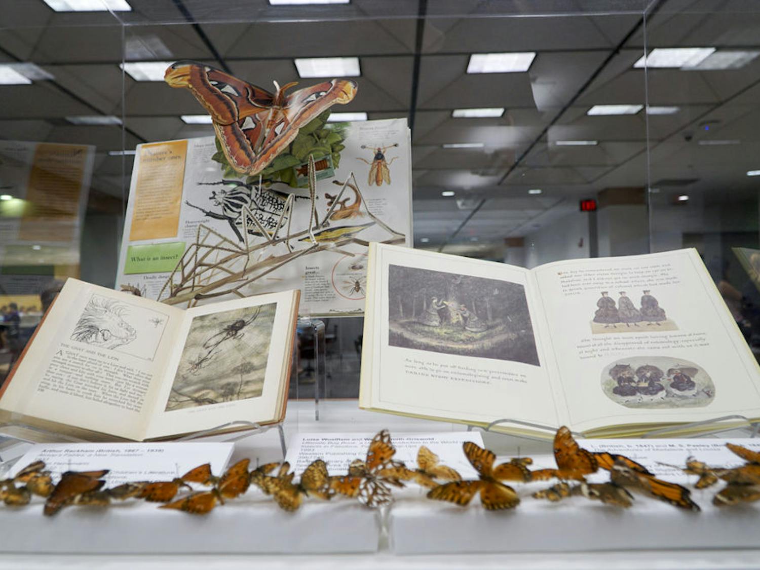 A collection of Aesop’s Fables lays open to the fable of the gnat and the lion inside Marston Science Library as part of a campus-wide exhibit titled “Capturing Nature: The Insect World in Art.” The exhibit shows how insects are important to different areas of study, including calligraphy, children’s literature and jewelry.