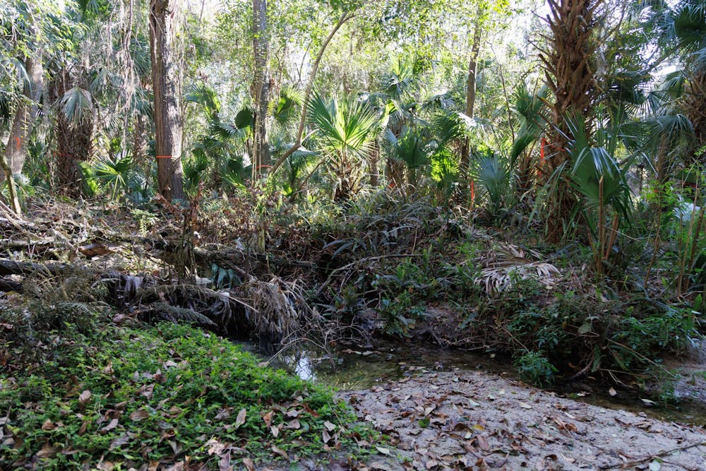 Graham Woods at the University of Florida, Wednesday, Feb. 4, 2026.