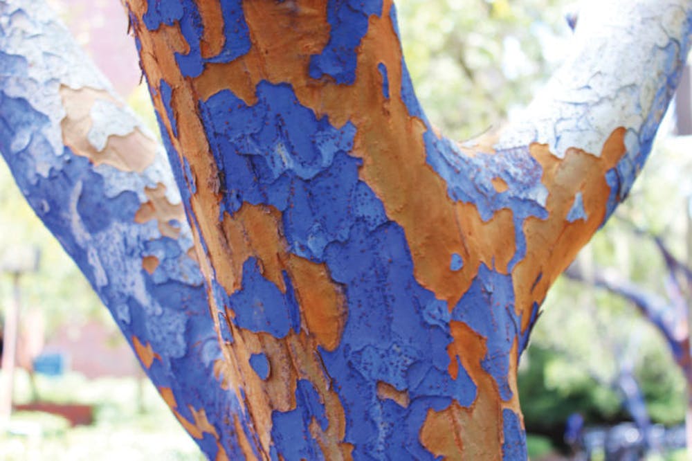 <p>The environmentally friendly blue paint chips off the trees on Turlington Plaza on Tuesday afternoon. It has been coming off for months.</p>