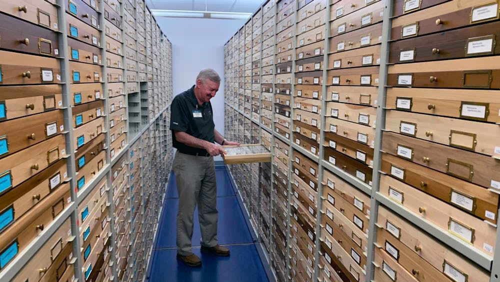<p>Bob Belmont browses the McGuire Center’s collection of moths and butterflies. The center currently houses around 12 million specimens. </p>