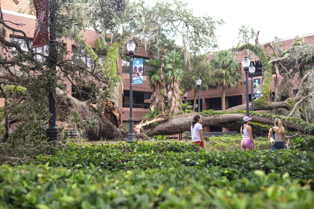 <p>Three UF students examine the Norman Hall oak tree, lost to Hurricane Helene on Sept. 27, 2024.</p>