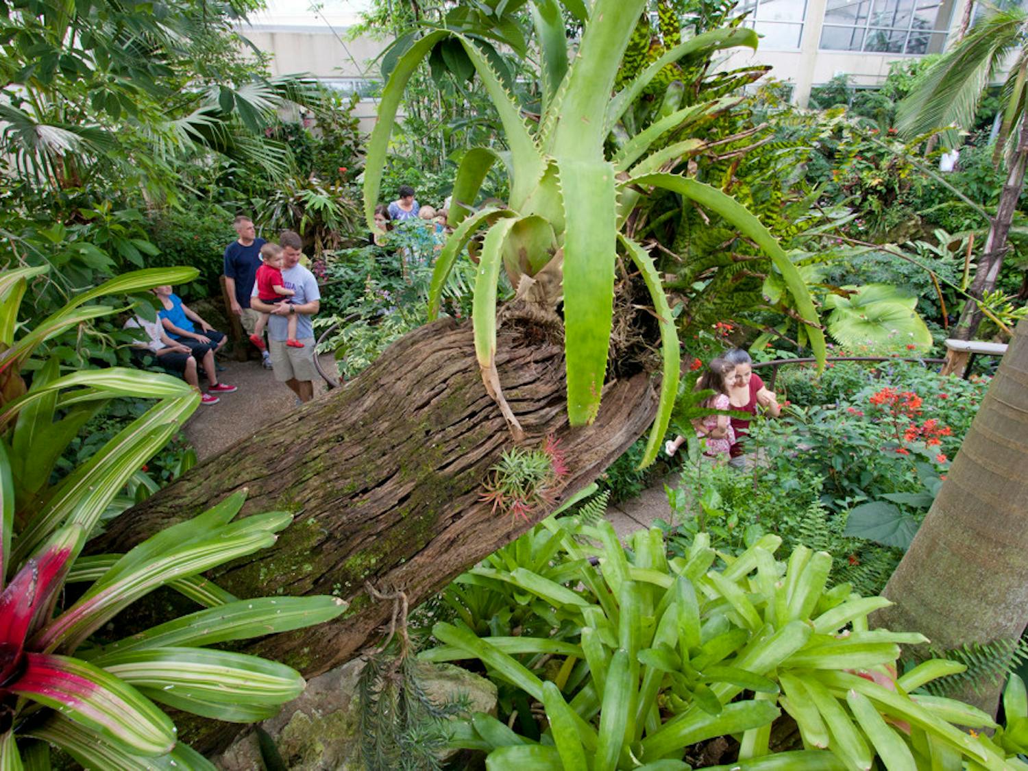 The Butterfly Rainforest, at 3215 Hull Road, is conveniently located on campus inside the Florida Museum of Natural History.