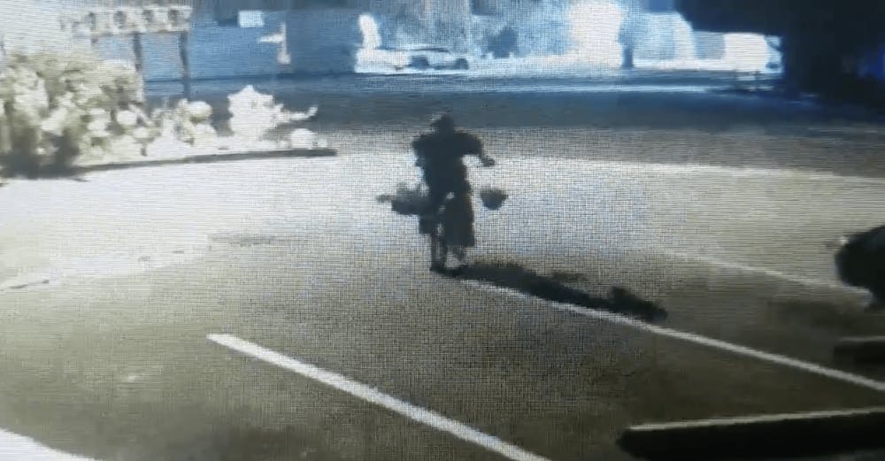 A photo from surveillance footage outside of Satchel's Pizza showing hanging plants being abducted. 