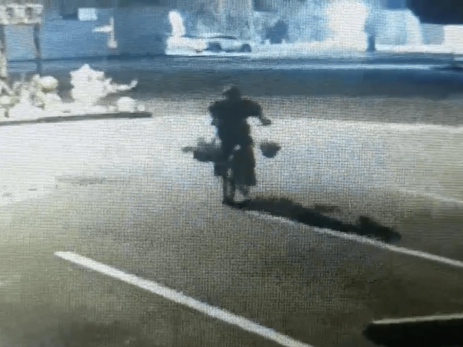 A photo from surveillance footage outside of Satchel's Pizza showing hanging plants being abducted.