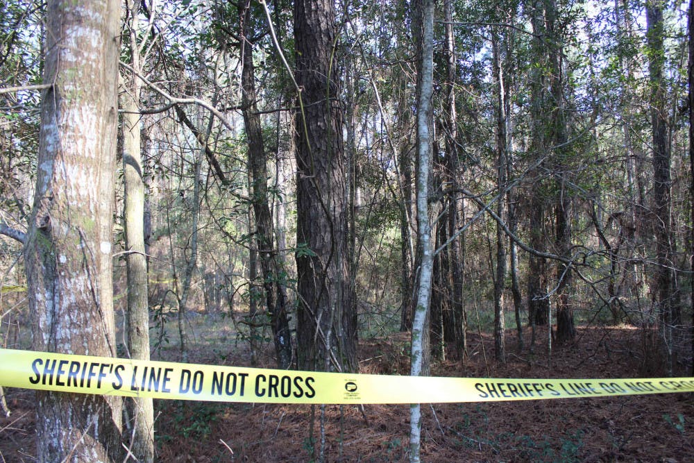<p>Pictured is the crime scene where a human skeleton was found Jan. 24, 2016, in a pine-tree forest just off Millhopper Road.</p>