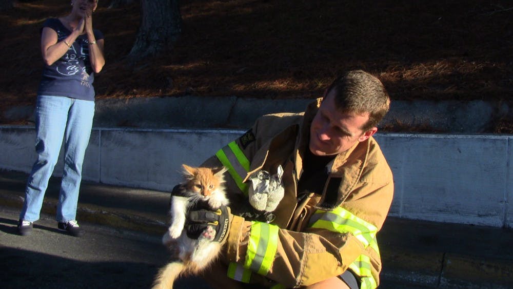 Gainesville Fire Rescue driver and operator Alan Dubose handles Wallie, a kitten that was rescued a from a storm drain Sunday afternoon.