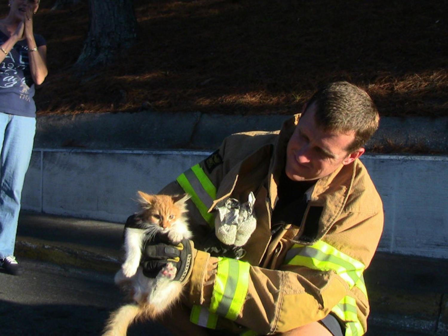 Gainesville Fire Rescue driver and operator Alan Dubose handles Wallie, a kitten that was rescued a from a storm drain Sunday afternoon.