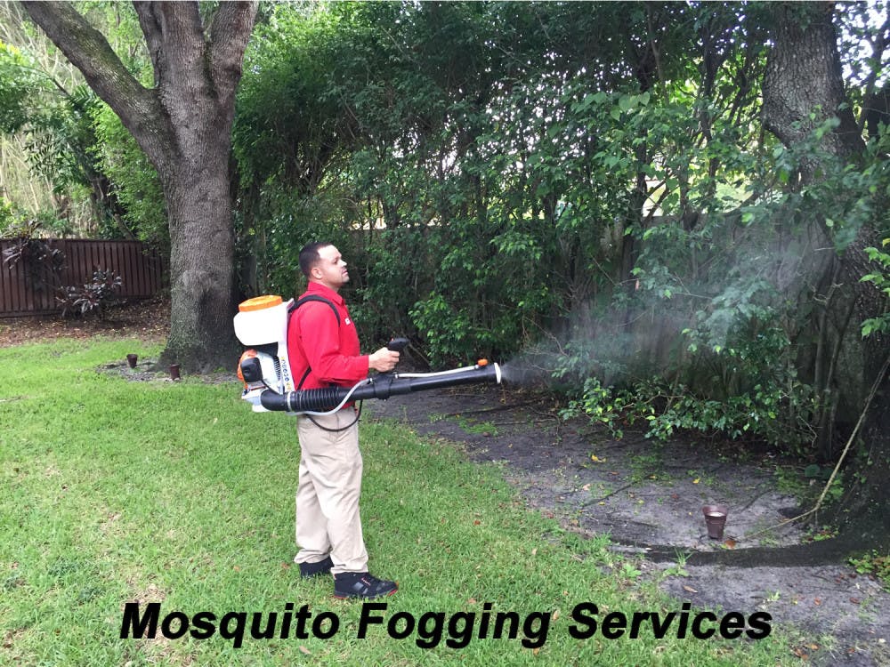 Fighting back against the Zika Virus, our team of mosquito controlling experts are working hard protecting Florida homeowners. 