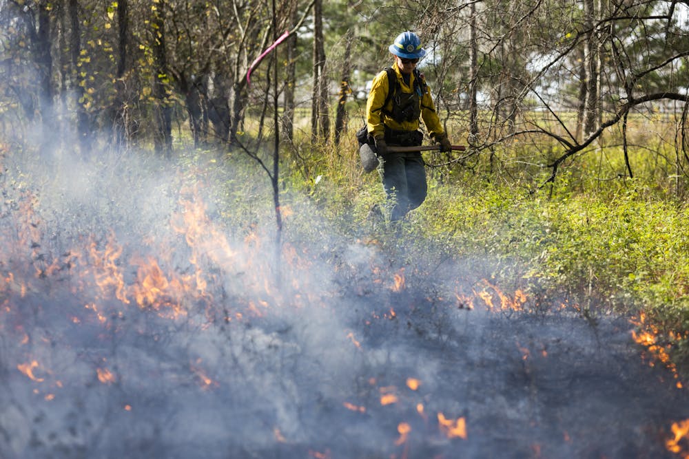 <p>Controlled burn at Ordway-Swisher Biological Station on Tuesday, December 5th, 2023.</p>