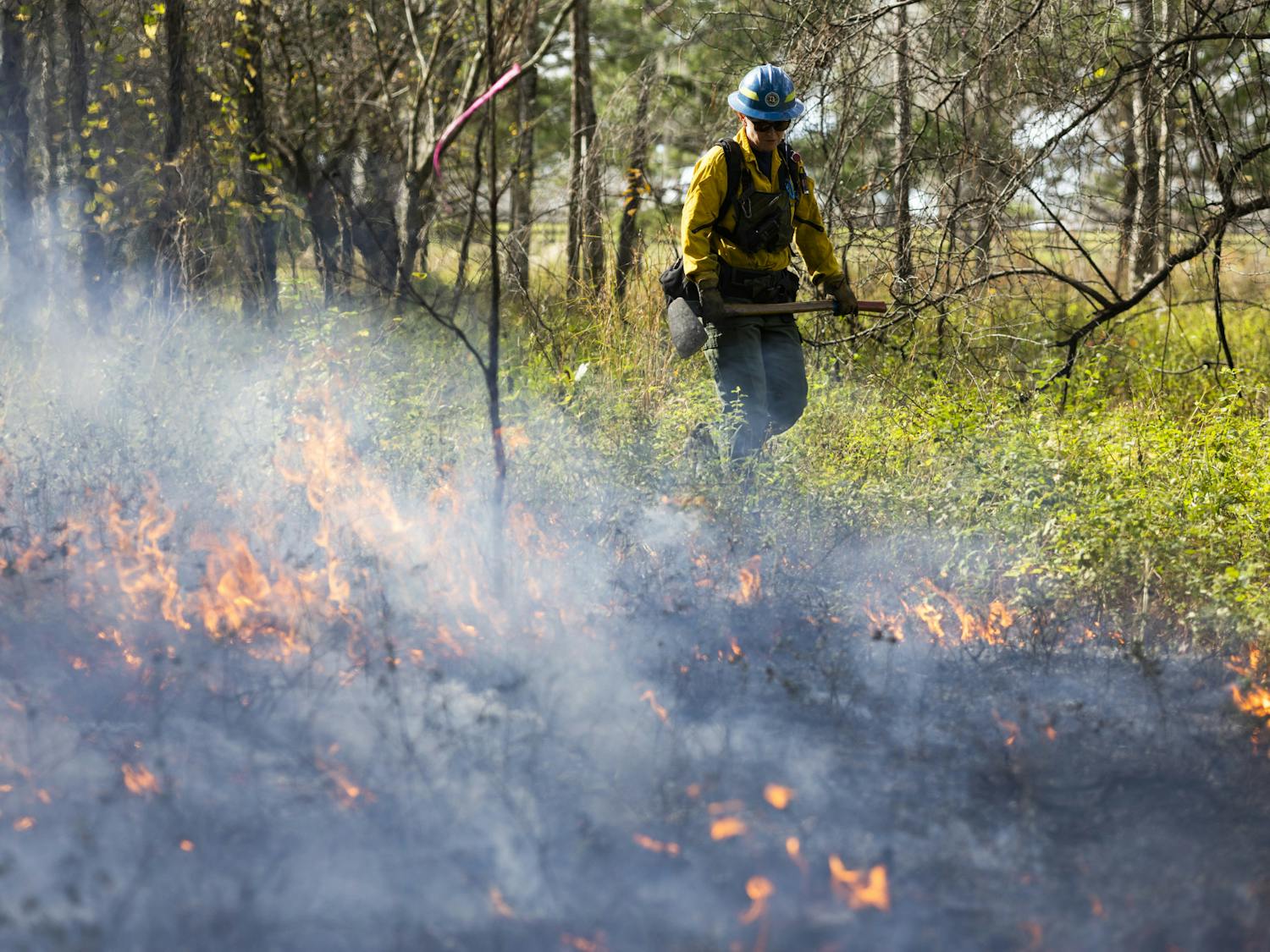 Controlled burn at Ordway-Swisher Biological Station on Tuesday, December 5th, 2023.