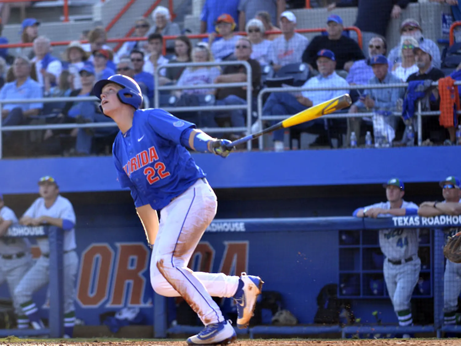 JJ Schwarz hits a ball during Florida's 8-4 win over FGCU on Feb. 20, 2016, at McKethan Stadium.
