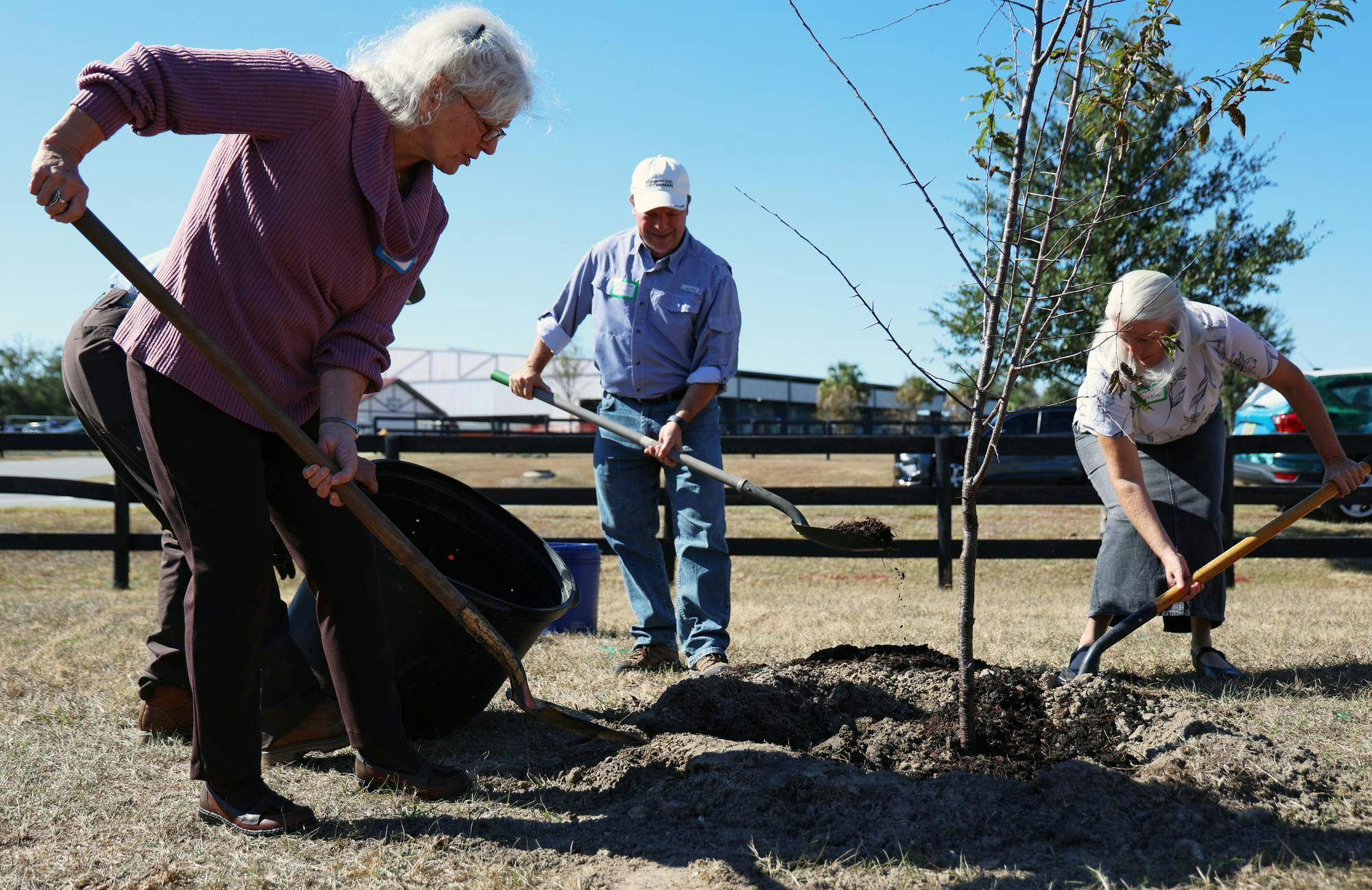 County Commissioners Marihelen Wheeler (left) and Ken Cornell (center) shovel dirt onto a newly planted plum tree at the UF/IFAS Extension Office during the Alachua County 2025 Climate Festival on Saturday, Nov. 15, 2025.
