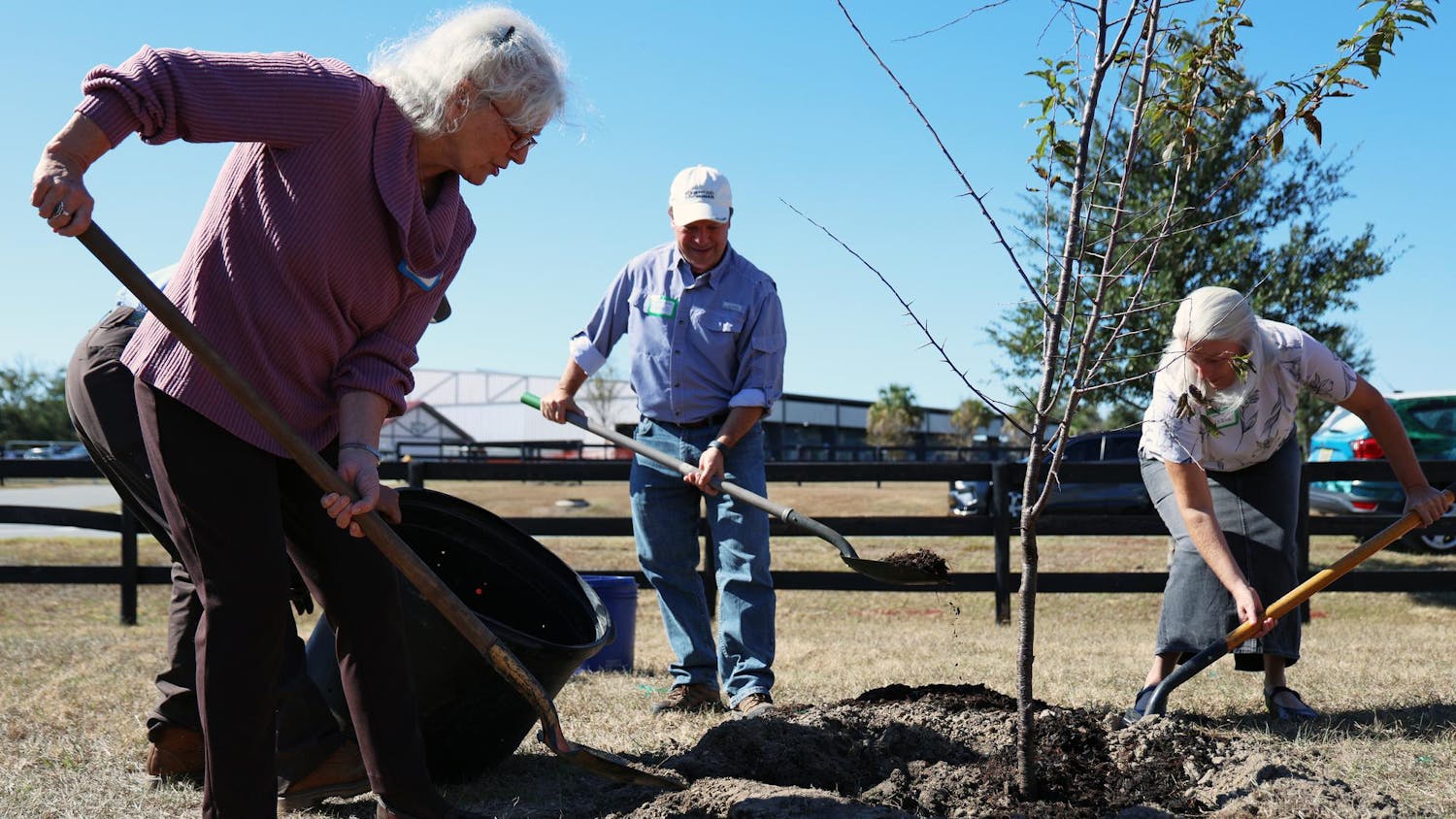 County Commissioners Marihelen Wheeler (left) and Ken Cornell (center) shovel dirt onto a newly planted plum tree at the UF/IFAS Extension Office during the Alachua County 2025 Climate Festival on Saturday, Nov. 15, 2025.