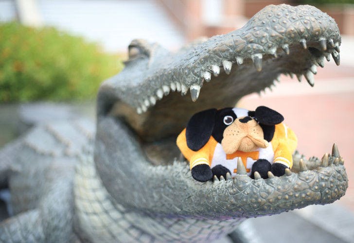 Gator Bait - The Independent Florida Alligator