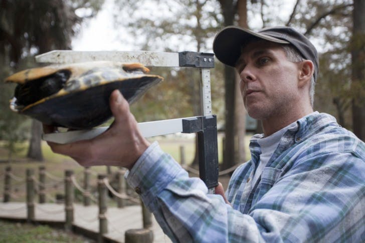 A group, led by Santa Fe College professor Jerry Johnston, caught, tagged and released turtles in Hornsby Spring on Friday to research the impact of hurricanes on turtles.