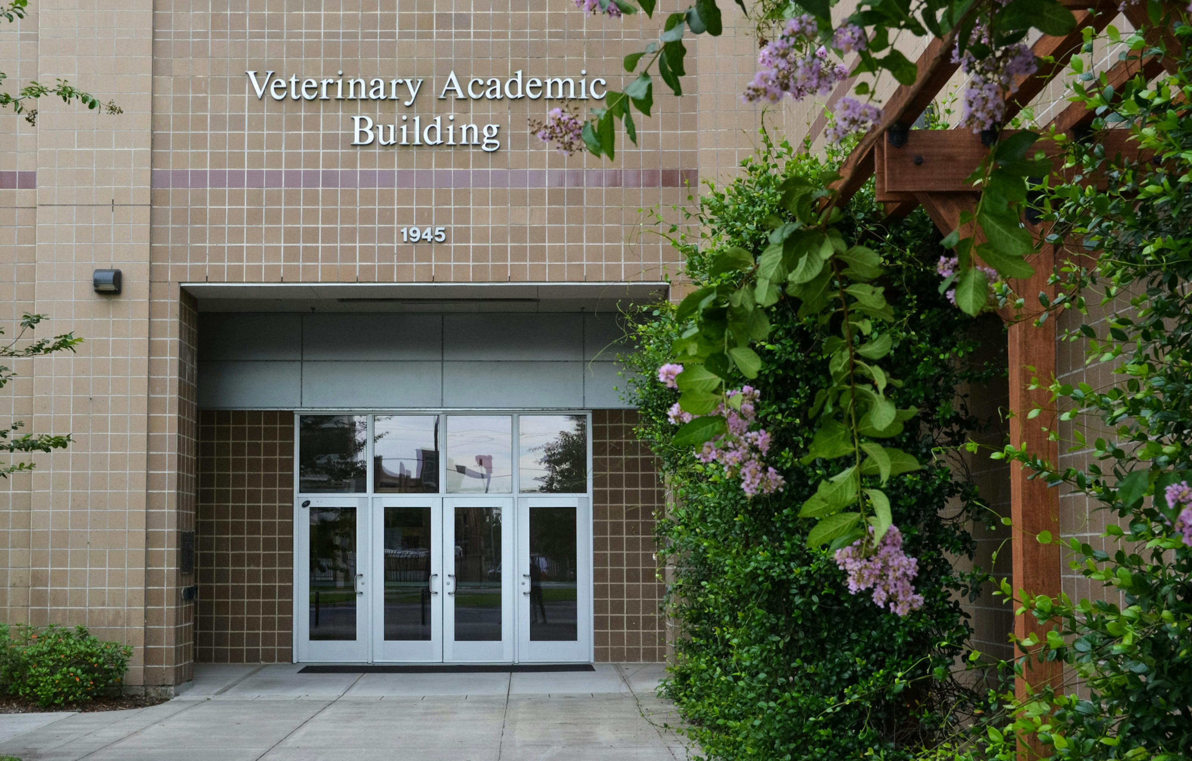 Animal rights group denounces UF experimentations - The Independent Florida Alligator - Vimarsana News