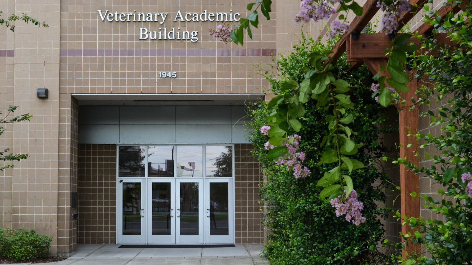 UF College of Veterinary Medicine Makes New Advancements in Research and Patient Care