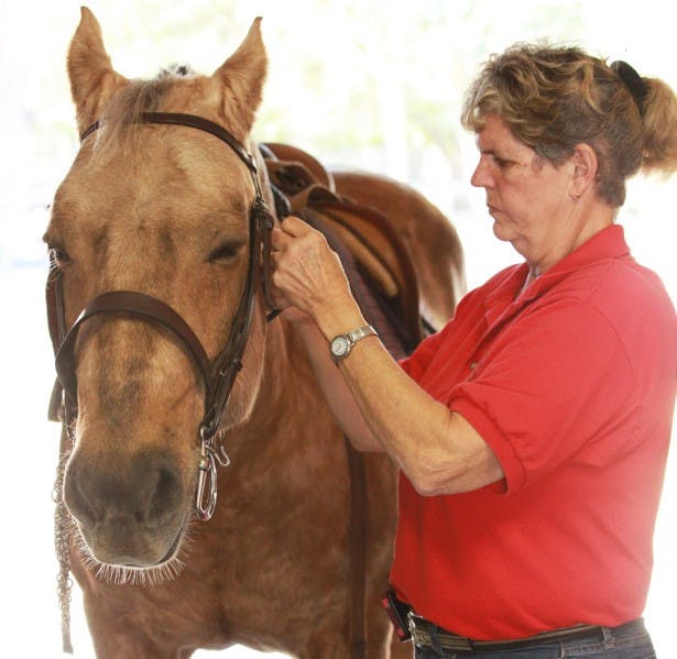 Betty Gray, 64, tends to Barney at the High Times Ranch. Barney won multiple national championships with various disabled riders.