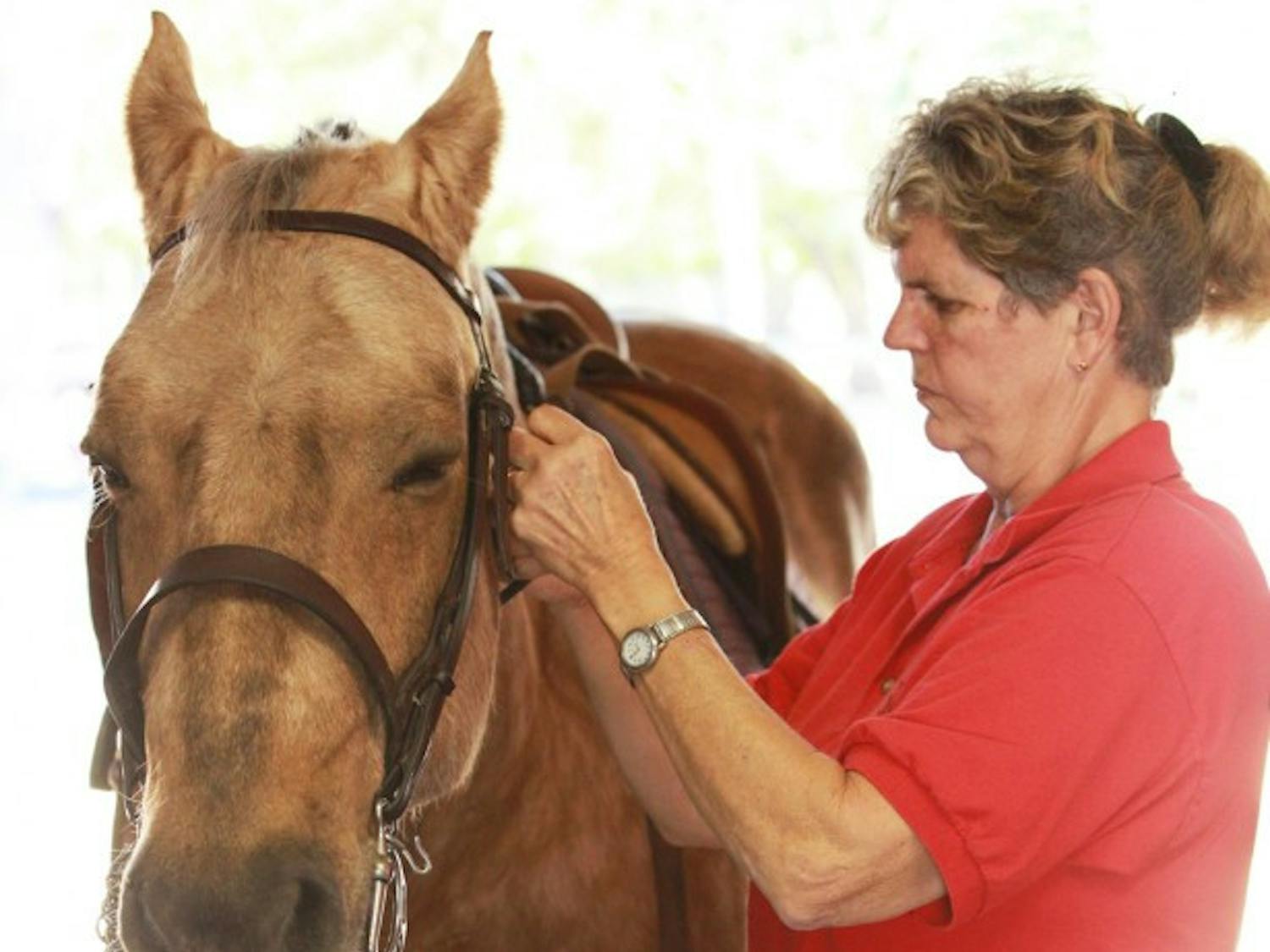 Betty Gray, 64, tends to Barney at the High Times Ranch. Barney won multiple national championships with various disabled riders.