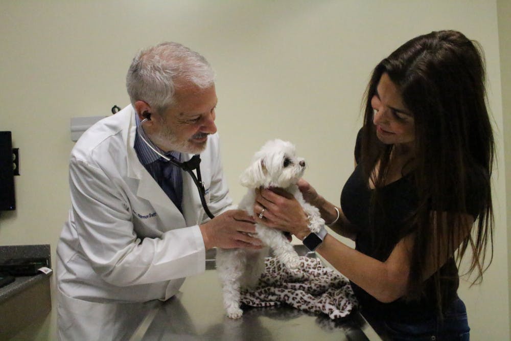 Simon Swift, the medical director of the UF Small Animal Hospital, examines Zoey, a 12-year-old Maltese, who underwent the mitral valve repair procedure in France last year. Courtesy to The Alligator 