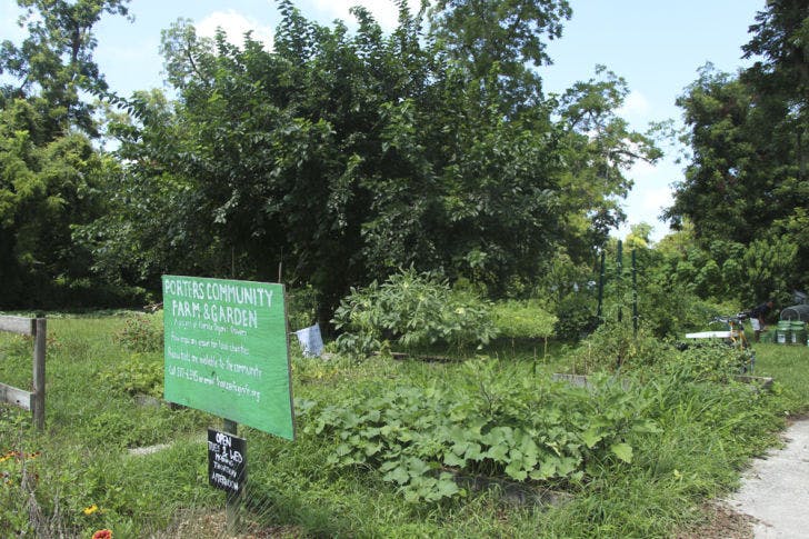 Porters Community Farm gives local residents access to fresh produce. The urban farm donates some of its harvest to St. Francis House Inc.