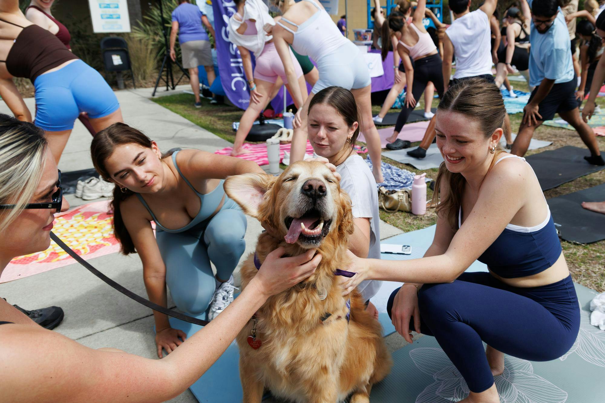 Attendees of puppy yoga hosted by Gator Service dogs pet Dmitiri, a golden retriever companion dog, at Swamp Head Brewery in Gainesville, Fla., Saturday, March 7, 2026.