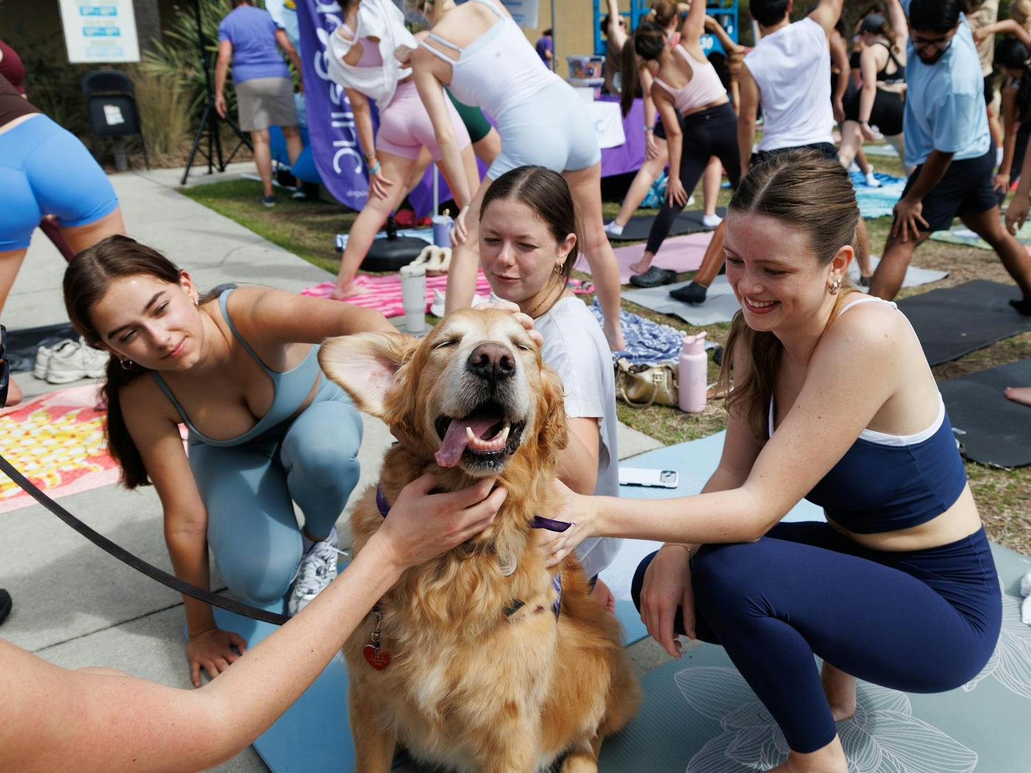 Attendees of puppy yoga hosted by Gator Service dogs pet Dmitiri, a golden retriever companion dog, at Swamp Head Brewery in Gainesville, Fla., Saturday, March 7, 2026.