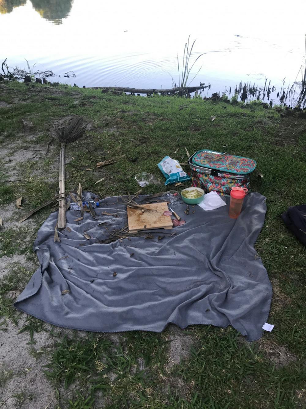 <p>Taylor Forte, a 21-year-old UF civil engineering senior, prepared a picnic with her fiancé, Trevor Walters, last Thursday evening. After about 30 minutes, an alligator came out of Lake Alice and consumed their entire set up</p>